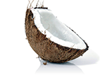 Interactive coconut